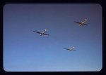 042 - abp.jpg