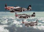 042 - P_51S_361ST_FG_2.jpg