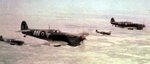 046 - abl.jpg