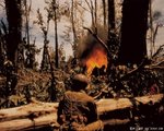 049 - f4oihi.jpg