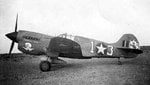 64 FS P-40F Warhawk on Foggia airfield.jpg
