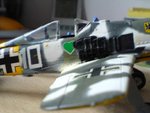 DSC00008.JPG