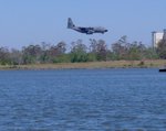 BigTree 090.jpg