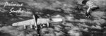 zsigB-24 14thSqn 8thBG tailless.JPG