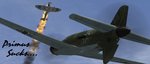zsigDornier.JPG