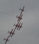 IMG_snb5.jpg