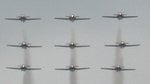 sbirds1.jpg