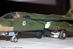 DSC_8598.jpg