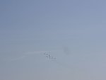 IMGP0845.jpg
