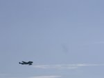 IMGP0901.jpg