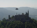 Hohenzollern castle hawk.JPG