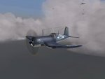 yy8.jpg