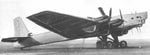 Warbirds pic.jpg