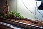pandora feeding4.JPG