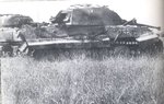Goodwood40002.jpg