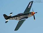 Mustang2_DSC_3436.jpg