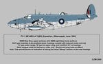 nz4503db.jpg