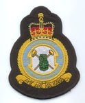 75Squadronbadge.jpg
