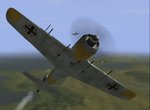 White23 4.jpg