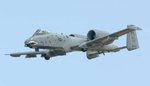 A010 Warhog.jpg