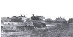 TigersUnlucky0003.jpg