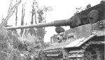 SS101Kp. Tiger  - KO'd nr Rauray 27 06 44 #1.jpg