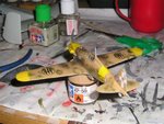 aerburhsmacchi1.JPG