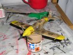 aerburhsmacchi2.JPG