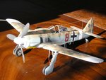 FW190a-8 Trop b.jpg