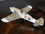 FW190a-8 Trop c.jpg