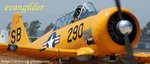 texan2_DSC_8153.jpg