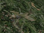 PZL WIP 4.jpg