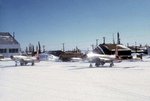 goose-94.jpg