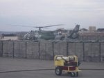 British Gazelle.JPG