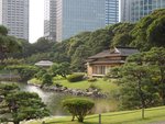 478_hama-Rikyu Gardens_1282.jpg