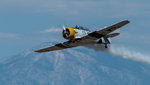 John Collyer and T6 Texan War Dog-1215.jpg