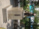 539_Hatchiko Dog_1568.jpg