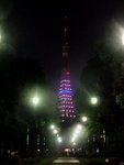 541_Tokyo Tower_1646.jpg