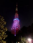 542_Tokyo Tower_1649.jpg