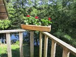 IMG_0221.jpg