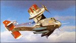 canadair_dynavert_2.jpg