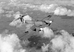 FA_18165s.jpg
