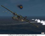 StalkingCat-333sm.jpg