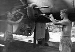 2sqnRAAF7.jpg