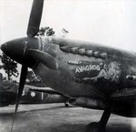 79sqnRAAF2.jpg