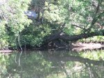 IMG_0282.jpg