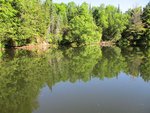 IMG_0281.jpg