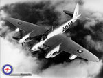 1sqnRAAF3.jpg