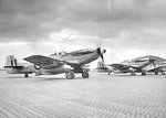 77sqnRAAF8.jpg