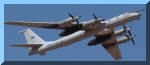 Tu-142a_small.jpg